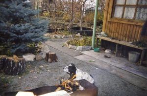 Кружевное вязание спицами спиц Кружевное вязание спицами спиц
